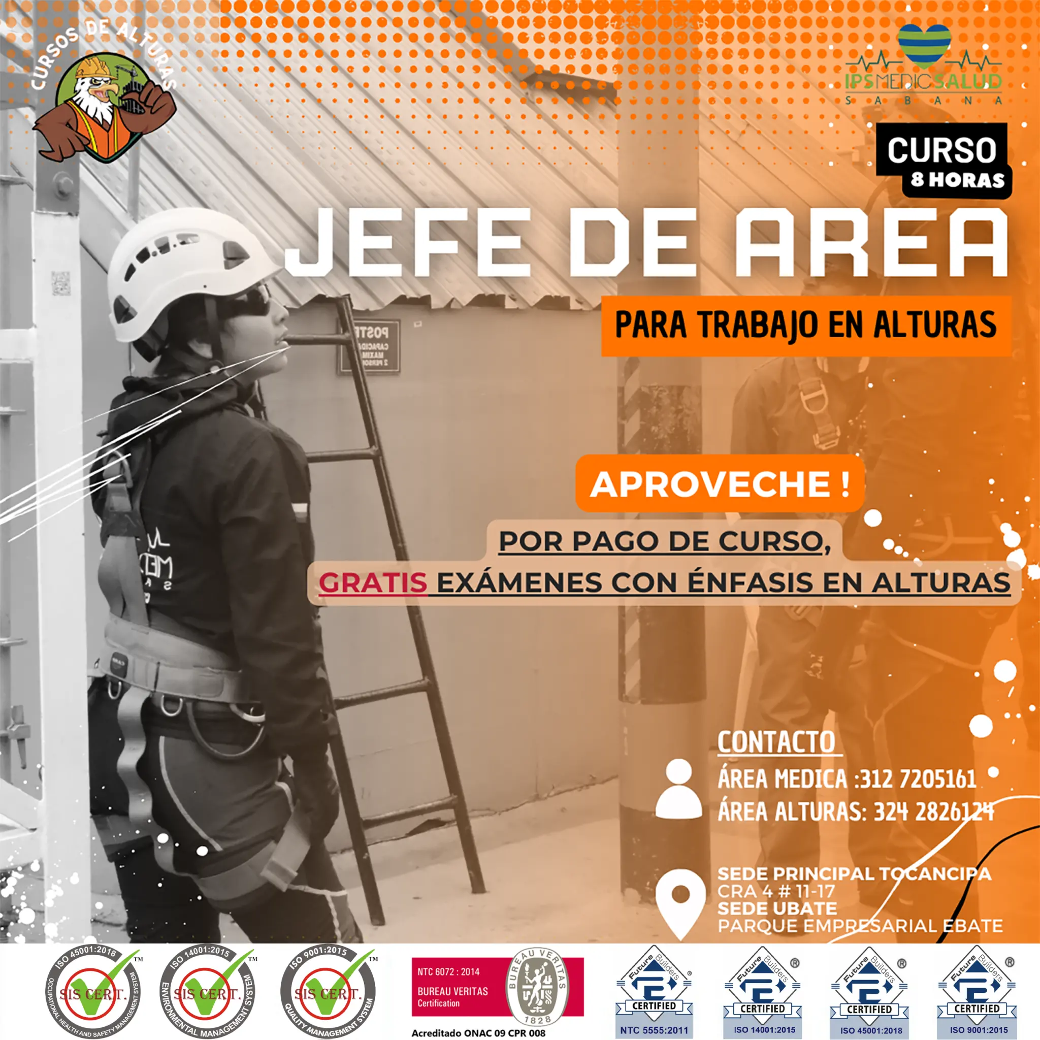 Jefe de Área